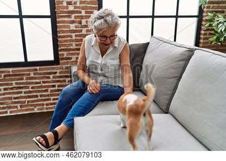 Senior grey-haired woman playing with chiuahua sitting on sofa at home