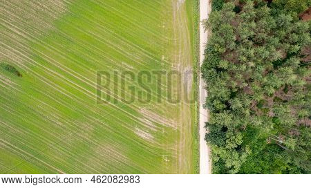 Aerial View Drone Shot Of Fresh Green Field In Spring Near Turnhout By Antwerp, Belgium With Road Be