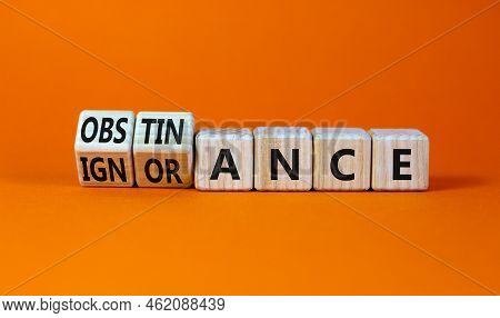 Obstinance Or Ignorance Symbol. Turned Wooden Cubes And Changed The Word Ignorance To Obstinance. Be