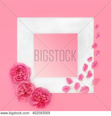 Mothers Day Rose Flower Symbol With Petals On Pink Background Border With White Frame. Abstract Love