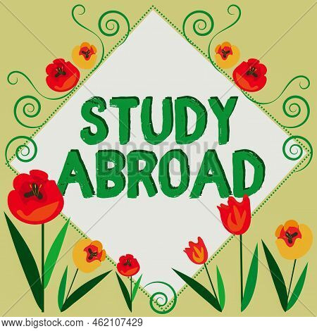 Inspiration Showing Sign Study Abroad. Internet Concept Pursuing Educational Opportunities In A Fore
