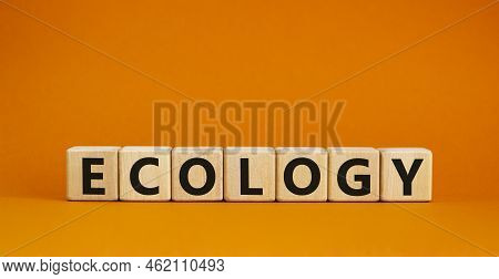 Ecology Symbol. The Concept Word Ecology On Wooden Cubes. Beautiful Orange Table, Orange Background,