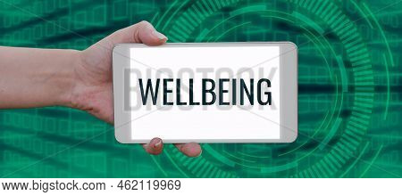 Handwriting Text Wellbeing. Business Overview A Good Or Satisfactory Condition Of Existence Includin