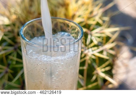 A Guamiche Drink Ferocactus Wislizenii Typical Of Guanajuato Mexico