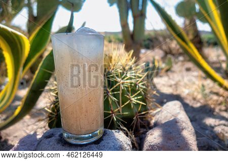 A Guamiche Drink Ferocactus Wislizenii Typical Of Guanajuato Mexico