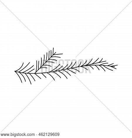 Christmas Tree Branch. Fir Branch. Hand Drawn Graphics Holiday Illustration. Cartoon Isolated On Whi