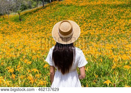 Tourist woman visit the Orange day lily flower field on mountain in Taimali of Taitung