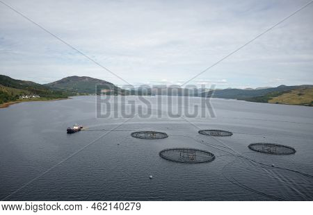 Fish Farm Salmon Round Nets In Natural Environment Loch Fyne Arygll And Bute Scotland
