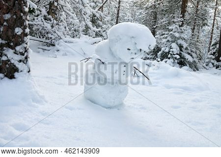 The Snow Maiden