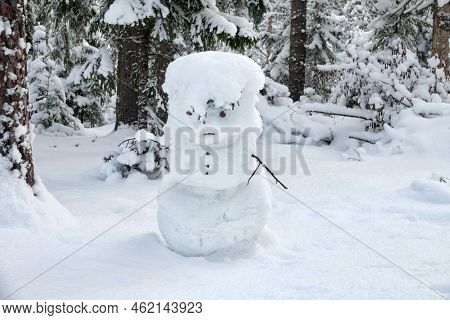 The Snow Maiden