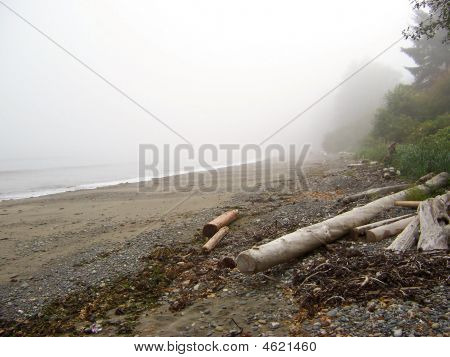 Fog On The Water