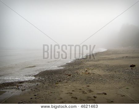 Lonely Beach