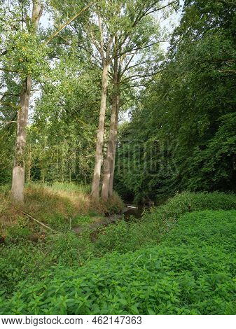 hiking at the berkel river near vreden in germany