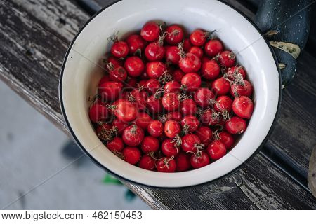 Rose Hips In An Enameled Old Bowl. Bowl Full Of Rose Hips On Wooden Table. Wild Berry Background