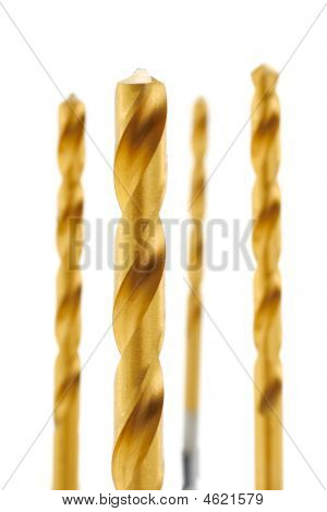 Borer