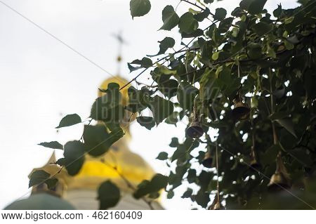 A Cute Little Windbell Hanging From A Branch. The Bells On The Branches Of The Tree In The Courtyard