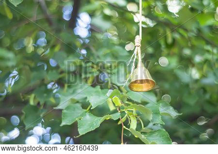 A Cute Little Windbell Hanging From A Branch. The Bells On The Branches Of The Tree In The Courtyard
