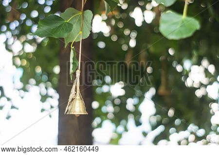 A Cute Little Windbell Hanging From A Branch. The Bells On The Branches Of The Tree In The Courtyard