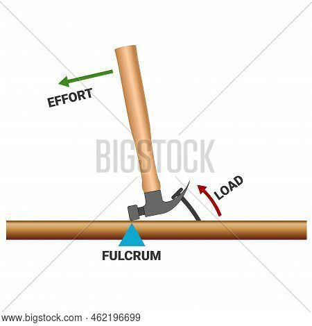 Claw Hammer, Lever, Simple Machines, Lever Hammer