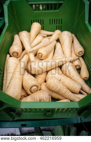 Parsnips On A Regional Seasonal Market In Autumn With Local Products In Germany, Called 