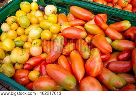 Variety Of Tomatoes On A Regional Seasonal Market In Autumn With Local Products In Germany, Called 