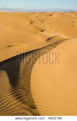 Wahiba Sands, Omán