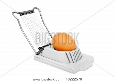 Яйцо Slicer