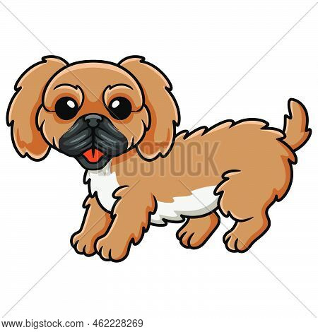 Vector Illustration Of Cute Little Pekingese Dog Cartoon