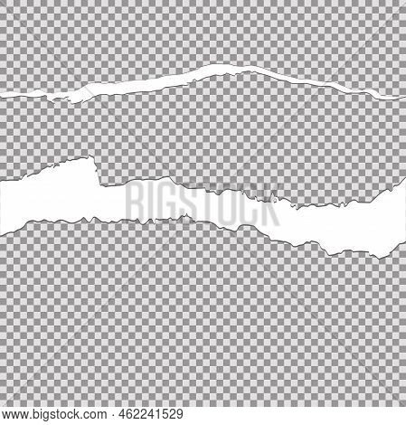 Tore Off Half A Sheet Of Gray Paper From The Top. Vector Paper Design Template.