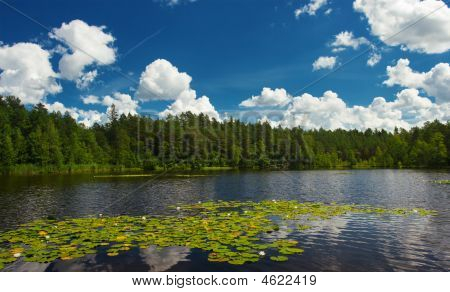Letniej sceny