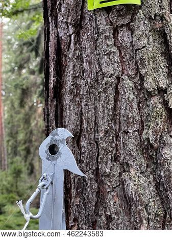 Polish Championships In Pneumatic Field Shooting In Kalety, Poland. Polish Open 2022, Categories Ft,