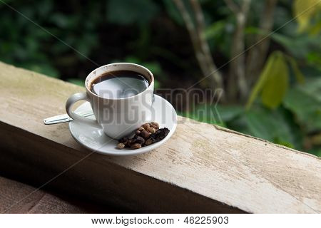 Kopi Luwak