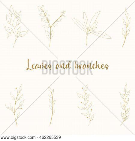 Gold Leaves And Branches On Pale Background. Hand Drawn Art Of Various Floral Elements. Elegant Desi