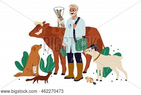 Cartoon Vet Doctor With Animals. Veterinarian Examining Cow And Goat. Veterinary Help. Person Checku