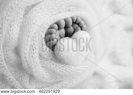 Feet Of A Newborn Close-up In A Woolen Blanket. Pregnancy, Motherhood, Preparation And Expectation O