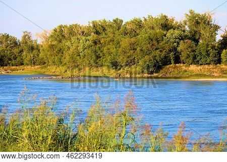 Lush Tallgrass On A Riparian Meadow Besides The Missouri River With A Deciduous Forest Beyond Taken 