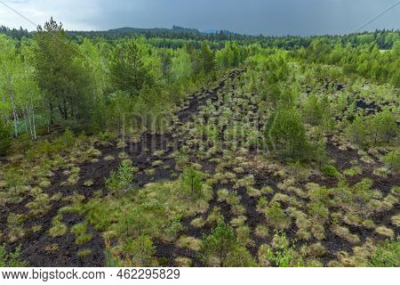 Peat bog near Soumarsky most (Soumarske raseliniste), Nation park Sumava, Czech Republic