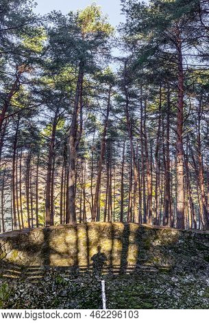 La Garganta Ice Well Forest. Photographer Shadow Visible On Rock. Banos De Montemayor, Caceres, Extr