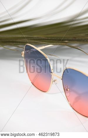 Stylish Sunglasses On A White Background With Green Plants