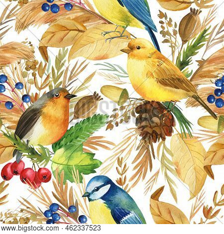 Seamless Pattern. Titmice, Canaries, Robin Birds. Autumn Leaves And Herbs Watercolor, Isolated Backg