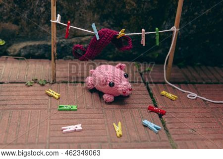 Knitted Pink Minipig Opposite Clothespins And Things