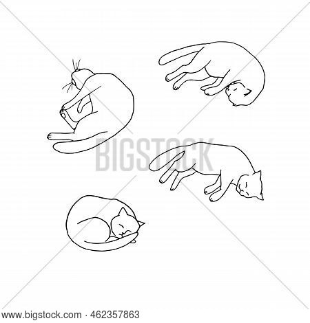 Vector Illustration Of Sleeping Cat Poses On White Background