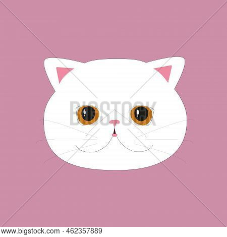White Cat Illustration. Cute Exotic Cat. Flat Style. Vector Cat Art