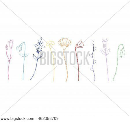 Different Bright Flowers Isolated On White Background