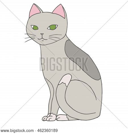 Vector Hand Drawn Gray Cat Isolated On White Background