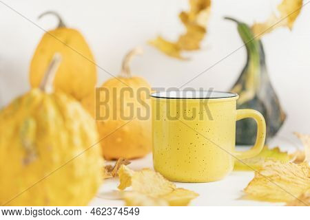 Small Yellow, Orange, Green Decorative Pumpkins, Leaves And Empty Mug On White Background. Fall Seas