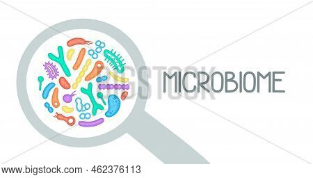 Microbiome Illustration Of Bacteria. Vector Image. Gastroenterologist. Bifidobacteria, Lactobacilli.