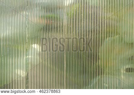 The Texture Of Transparent Polycarbonate. Transparent Plastic Material For Greenhouses. Corrugated W