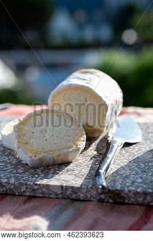 French Cheeses, Cylindrical Neufchatel Cow Cheese With Mold, Neufchâtel-en-bray, Normandy, France