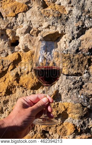 Tasting Of Red Wine By Old Wine Maker In Pierres Dorées Region With Yellow Stone Houses On South Of